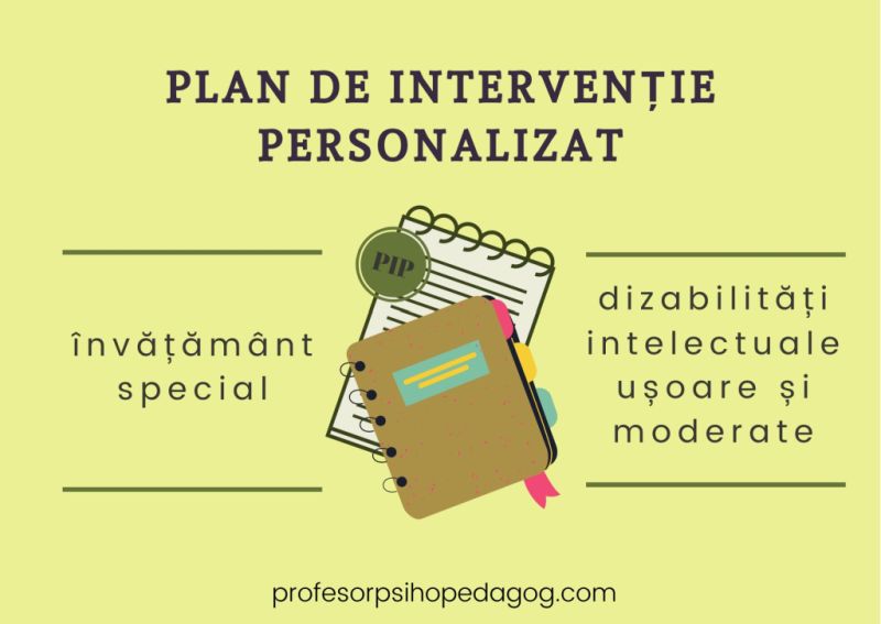 Plan de intervenție personalizat pentru elevii cu dizabilități ...